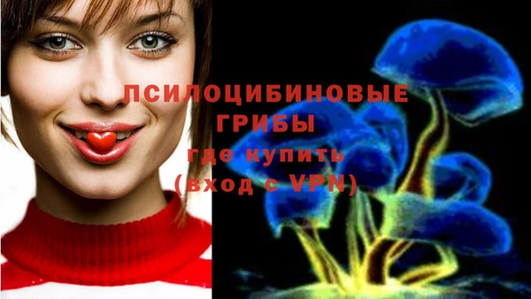 мяу мяу мука Белокуриха