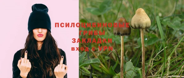 мяу мяу мука Белокуриха