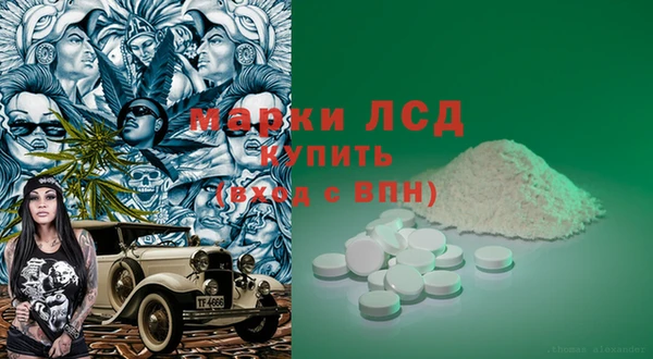 стаф Беломорск