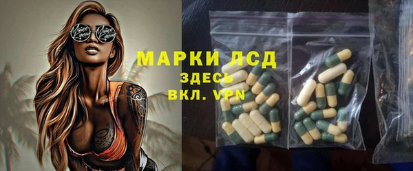 стаф Беломорск