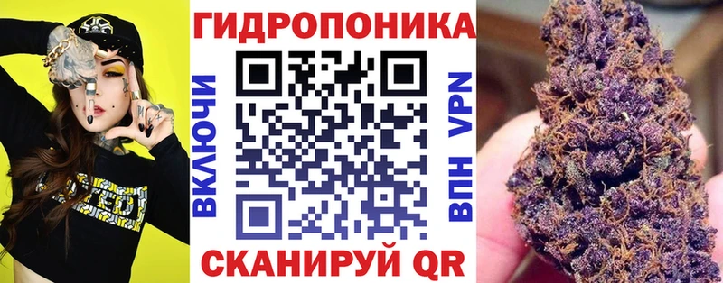 Шишки марихуана ГИДРОПОН Краснокамск